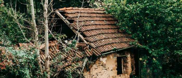 pexels-petra-kopaskova-2346624-5667854(1)